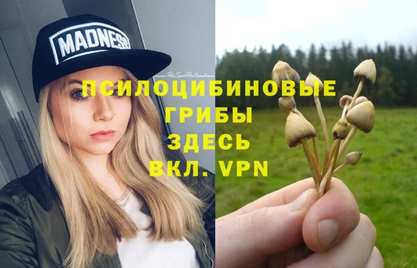 таблы Арсеньев