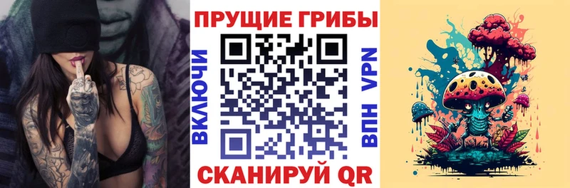 Галлюциногенные грибы ЛСД  Королёв 